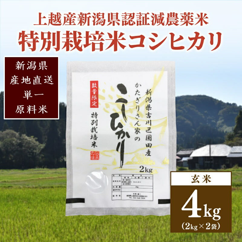 【ふるさと納税】250kg限定★令和6年産・新潟県上越市吉川区国田産・県認証減農薬米／特別栽培米コシヒカリ玄米4kg　年内お届け 年内発送 年末お届け 年末配送　お届け：ご注文後、2～3週間を目途に順次発送いたします。
