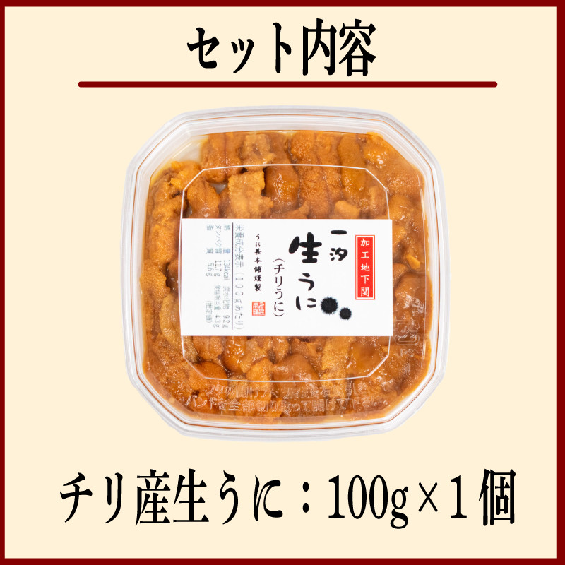 訳あり 大容量 生 ウニ 100g 一汐うに 生うに 生雲丹 雲丹 海鮮 魚介 新鮮 人気 父の日 母の日 中元 歳暮 年末 年始 ギフト プレゼント 自宅用 家用 感謝 高級 人気うに 塩ウニ ウニ