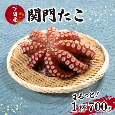 ふるさと納税 下関市 関門タコ丸ッと1杯 冷凍 唐戸市場直送 蛸 たこ EY010