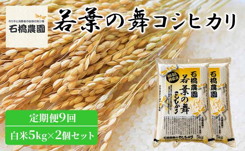 米 若葉の舞 コシヒカリ 白米5kg×2個セット 定期便9回 こしひかり セット 定期便 お米 白米 精米 千葉 千葉県 低温保存