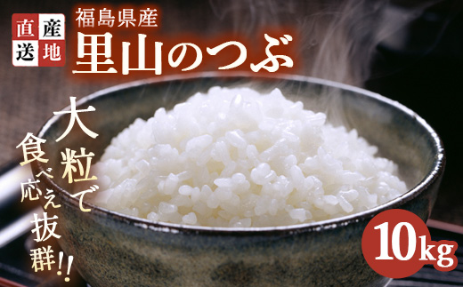 令和7年産 新米 里山のつぶ 10kg ｜ 白米 精米 生産者直送 産地直送 猪苗代産 はんざわエコファーム ※沖縄・離島への配送不可
