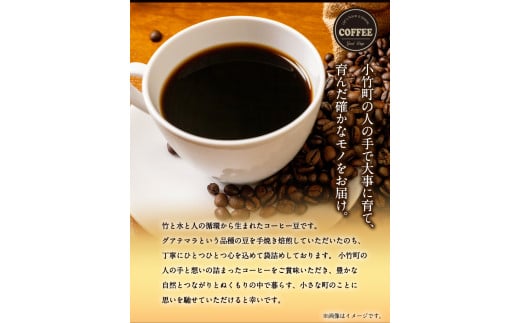 竹炭焙煎 こたけ珈琲 200g×2袋 《30日以内に出荷予定(土日祝除く)》 コーヒー 株式会社コモリファーム---sc_kmcof_30d_21_11500_400g---