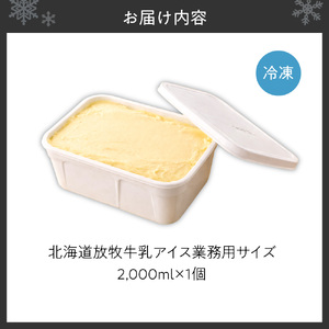 無添加・北海道放牧牛乳アイス業務用サイズ | アイスクリーム ミルク 北海道 札幌市