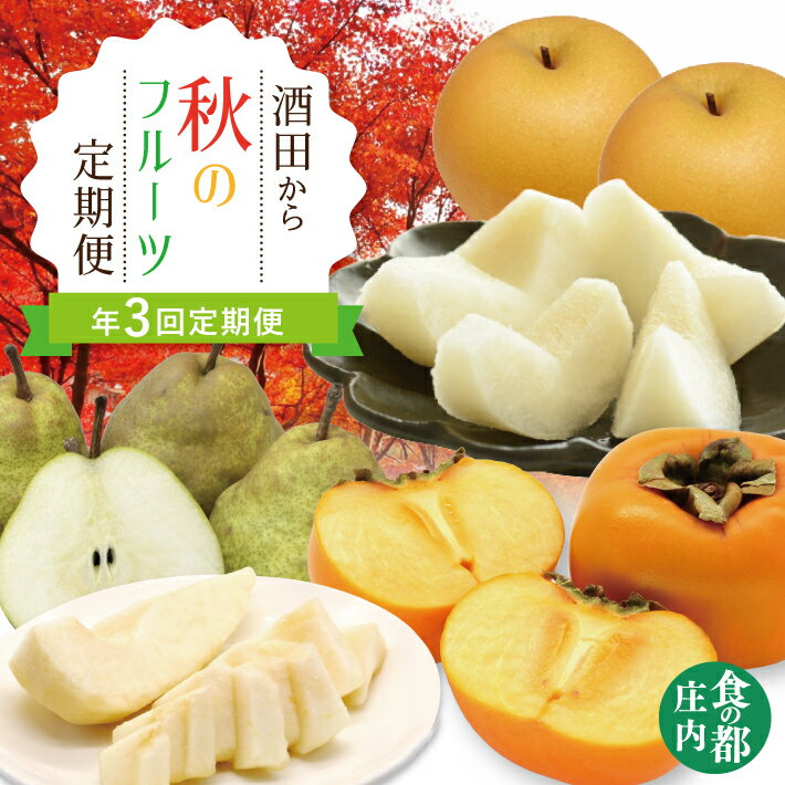 【ふるさと納税】≪3回定期便≫ 酒田から秋のフルーツ定期便2025 8月下旬〜10月中旬：刈屋梨 10月中旬～11月中旬：庄内柿 11月上旬〜12月中旬：ラ・フランス ※着日指定不可 定期便 頒布会 果物 くだもの フルーツ なし ナシ かき カキ 種無し 東北 山形県 酒田市 庄内 秋 旬