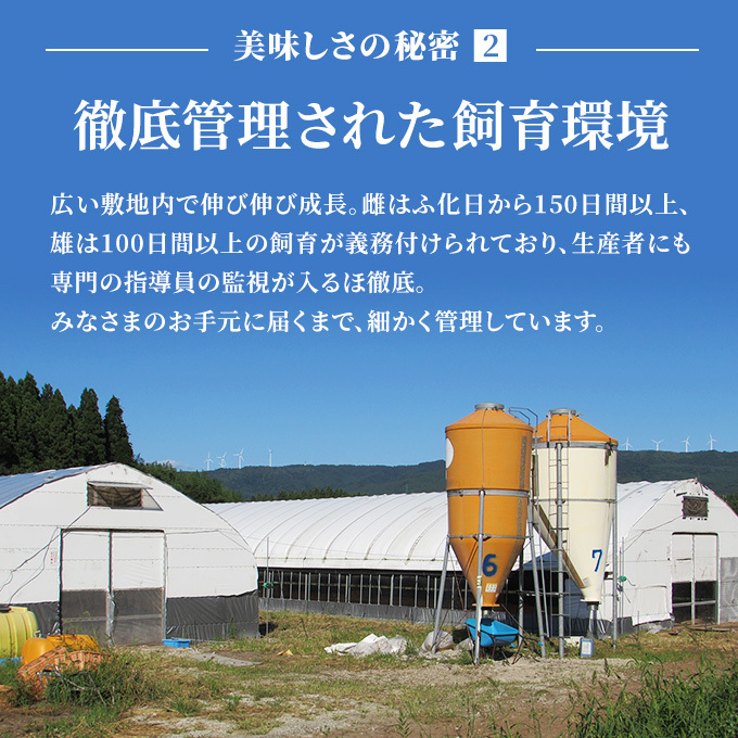 秋田県産比内地鶏肉 焼き鳥の定期便（30本×11ヵ月）（焼鳥 11ヶ月 もも肉 むね肉）_イメージ5