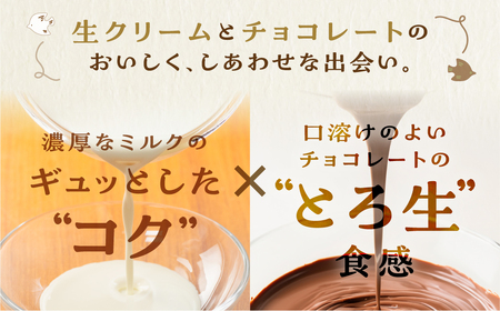 生チョコレート  2箱(1箱12粒入り)   生クリーム使用 チョコレート スイーツ 冷凍 洋菓子 ギフト 贈答 贈り物 プレゼント 牧成舎 ホワイトデー[Q2332x]