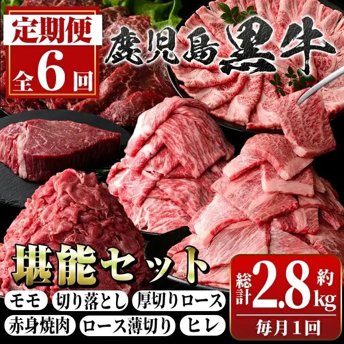 【6回定期便】鹿児島黒牛 堪能セット(全6種・合計2.8kg) 牛肉【新村畜産】D01011