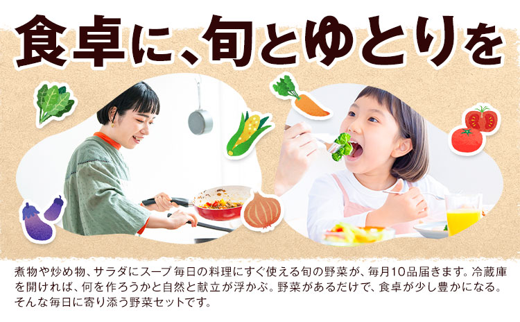 旬の野菜 定期便 計3回 旬の野菜 10品【養生市場】定期便 品種おまかせ ランダム 3ヶ月お届け 計3回 詰め合わせ セット 野菜 九州産 熊本県産《お申し込みの翌月から出荷》---003-2421