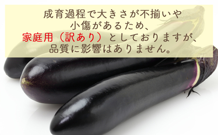 【2026年10月中旬以降発送】長なす 2ｋｇ 家庭用 yr-0071
