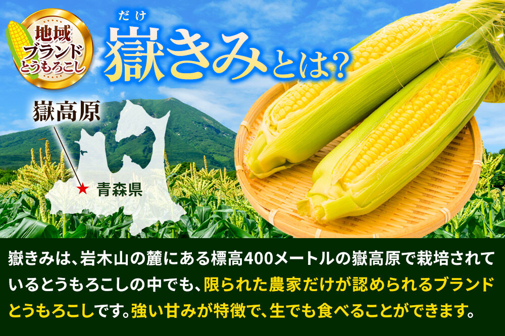 【26年7月～発送】とうもろこし 朝採り 嶽きみ（だけきみ） 10本 L～2Lサイズ 冷蔵 青森県 弘前市 [とうもろこし 朝採り 嶽きみ だけきみ 冷蔵 高糖度]