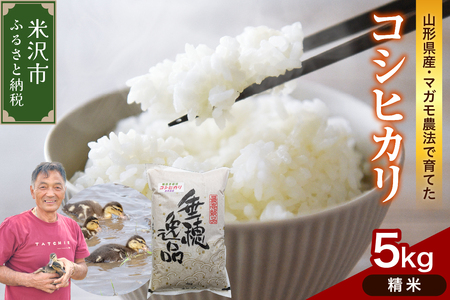 【 令和7年産 】コシヒカリ 5kg《精米》 有機肥料100% 2025年産 農家直送