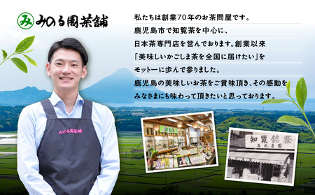 4種のティーバッグセット （ 8袋セット ） K346-010_02 知覧茶 お茶 茶 鹿児島茶 煎茶 和紅茶 焙じ茶 玄米茶 甘い まろやか 全国茶審査技術大会 日本茶 美味しい リラックス 厳選茶