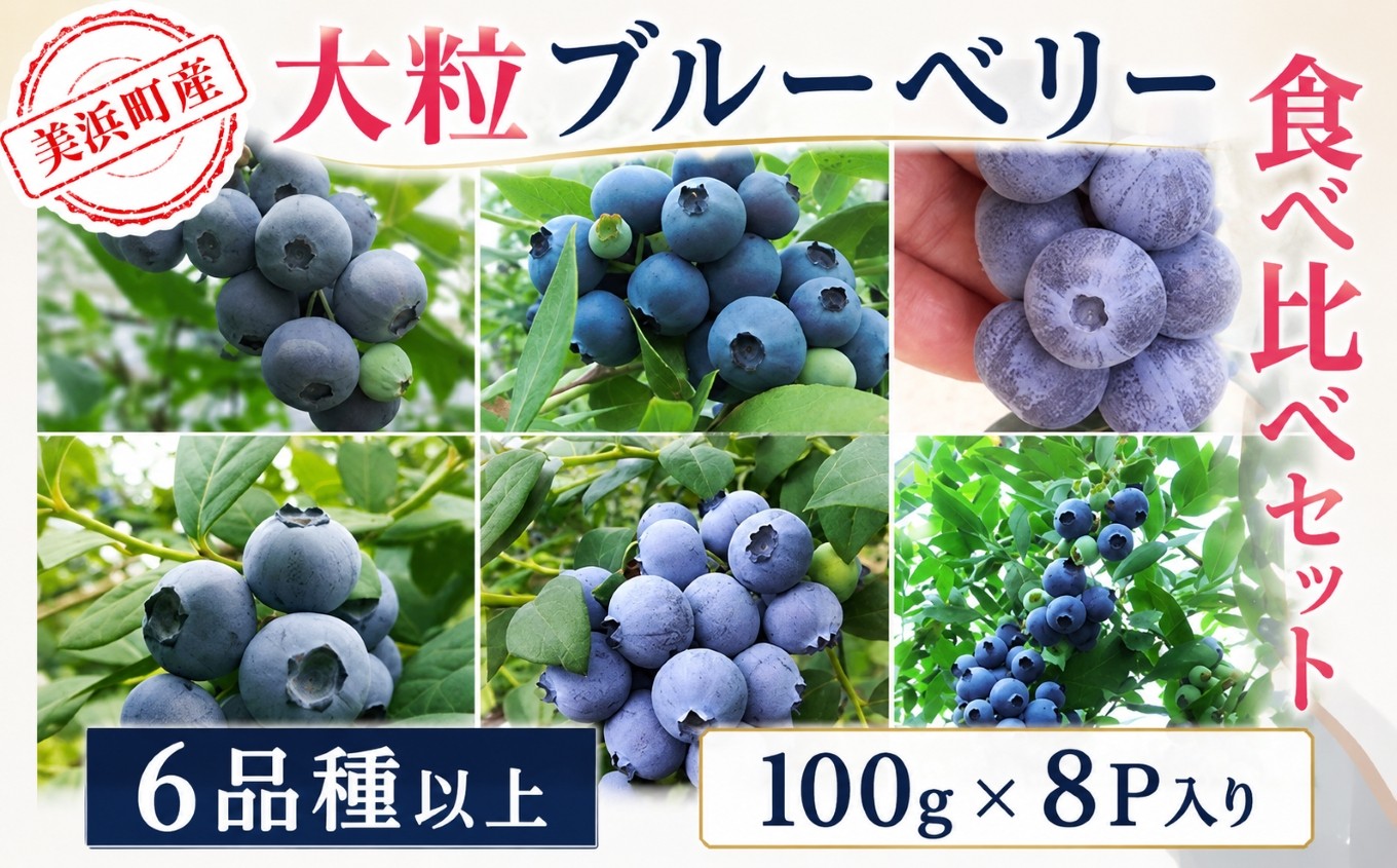 
                  【2027年先行予約】美浜町産大粒ブルーベリー 食べ比べセット 6品種以上 約100g×8パック ※2027年6月上旬～6月下旬頃に順次発送予定 | ブルーベリー ぶるーべりー 大粒 超大粒 甘い ジューシー 人気 生 生ブルーベリー 新鮮 産地直送 サザンハイブッシュ 食べ比べ 詰合せ 果物 くだもの フルーツ ジャム ヨーグルト 美味しい 人気 国産 愛知県 美浜町
                