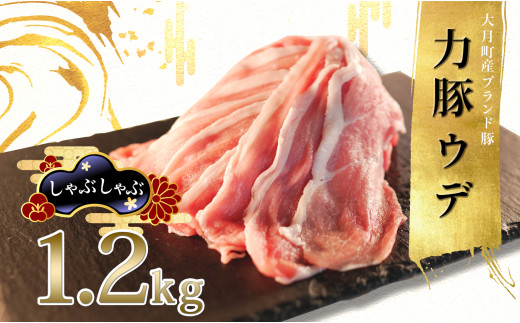 
【高知県 大月町産ブランド豚】力豚　ウデ肉1.2kg
