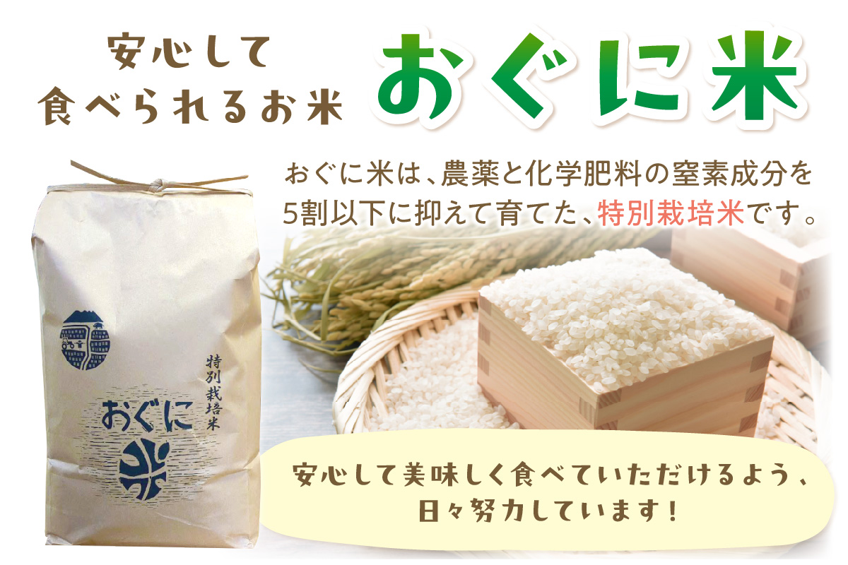 【定期便】【令和6年産】浜田市金城町産コシヒカリ「おぐに米」10kg定期便（6回コース）＜10月下旬以降の発送予定＞ 定期便 10キロ 6回 米 お米 こしひかり 白米 特産品 お取り寄せ 精米 小分