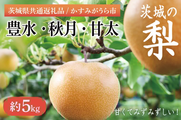 
            【8月下旬より発送】【数量限定】茨城県　千代田の梨(豊水・秋月・甘太いずれか)約5kg【茨城県共通返礼品/かすみがうら市】【梨 なし 果物 くだもの フルーツ 豊水 秋月 おまかせ 濃厚 甘い かすみがうら市 共通返礼品 水戸市】（IV-1）
          