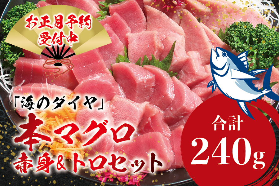 本マグロ（養殖）トロ＆赤身セット 240g 【12/26～30発送】高級 クロマグロ  中トロ 中とろ まぐろ マグロ 鮪 刺身 赤身 柵 じゃばらまぐろ 本マグロ 本鮪 【nks113B-sg】