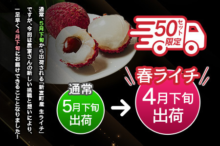 ライチ 4/20～4/28 期間内出荷 モリノライチ 果物 フルーツ S30
