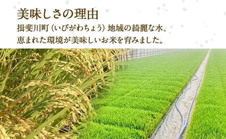 定期便 全12回 岐阜県 揖斐川町産 令和6年 ハツシモ  高橋米 10kg 1袋 お米 精米 白米 米 ごはん ご飯 はつしも あっさり  ブランド米 10キロ 大粒 幻の米 高橋ファーム Taka