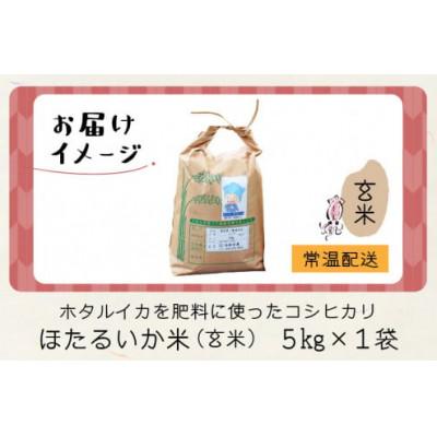 ふるさと納税 滑川市 【ほたるいか米】玄米　5kg |  | 03