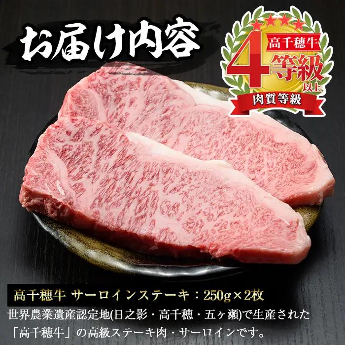 高千穂牛 サーロインステーキ(250g×2枚)【MT013】【JAみやざき 高千穂牛ミートセンター】