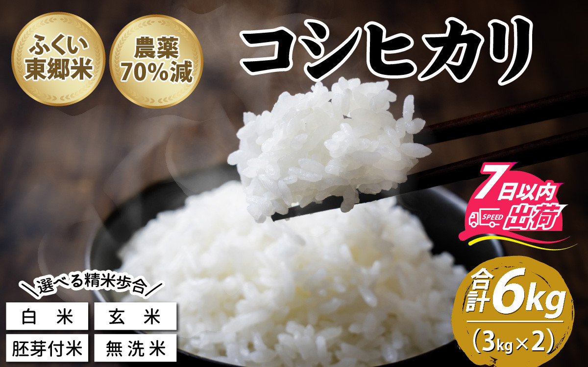 
令和5年産 ふくい東郷米 特別栽培米 農薬70％減 コシヒカリ 3kg×2袋 [A-020008] / コシヒカリ こしひかり 米 お米 こめ コメ 白米 ご飯 精米 袋 国産 送料無料 おすすめ 人気 大人気 国産 ランキング　無洗米 玄米 白米 精米 胚芽 送料無料
