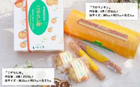 【贈答にも◎】こやらし柑＆フロランタン 各8個＜お菓子のいわした＞[CAM019] スイーツ お菓子 ケーキ クッキー フロランタン 原口みかん みかん 詰め合わせ セット 贈答 ギフト プレゼント
