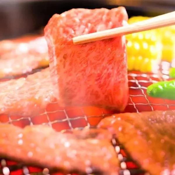 博多和牛 A4ランク以上 焼き肉用 500g | ふるさと納税 肉 厳選部位 ふるさと納税 牛肉 お肉 九州産 黒毛和牛 和牛 高級 人気 化粧箱付き ギフト プレゼント 冷凍 福岡県 福岡市 バーベ