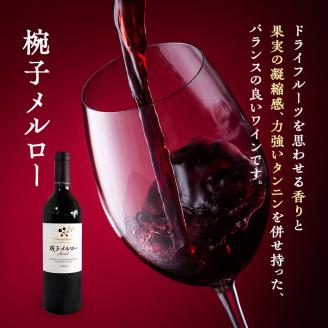 ワイン 椀子ヴィンヤードを味わう定番 セット 2本 椀子メルロー 椀子シャルドネ 750ml メルロー シャルドネ 白ワイン 赤ワイン お酒 酒 アルコール 飲み比べセット ギフト 贈り物 プレゼント