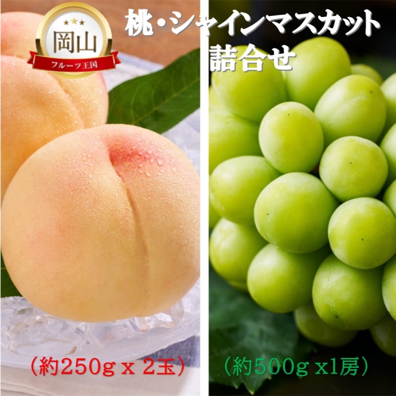 
            [№5615-0755]岡山県産 桃 (約250g×2玉)・シャインマスカット(約500g×1房) 詰合せ 桃 シャインマスカット 果物 フルーツ
          