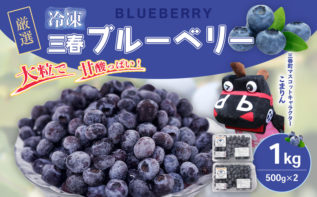 
                  三春冷凍ブルーベリー 500g×2パック／計1kg 【三春町産 冷凍ブルーベリー 大粒 福島県 三春町 三春ブルーベリー倶楽部 有機質肥料 果物 国産 フルーツ 果実 旬 お中元 夏 ギフト プレゼント 贈り物 贈答】【07521-0107】
                