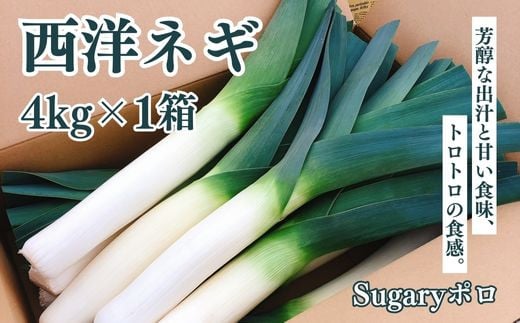 
                  Sugaryポロ4kg×1箱 SMY001 
                