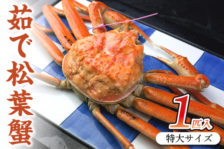 カニ 松葉ガニ／日本海産ブランド蟹　茹で松葉蟹【厳選】特大サイズ matubakani1000 約1㎏ 松葉ガニ ｶﾆ 茹でｶﾆ ボイルｶﾆ 茹で松葉ガニ ｶﾆ ｶﾆ  ｶﾆ タグ付き