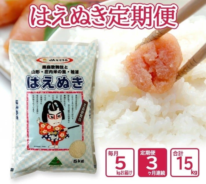 
            ≪3ヶ月定期便≫ はえぬき 5kg×3ヶ月連続 計15kg 山形県産 毎月下旬頃お届け 農協 JA 米 お米 精米 白米 ごはん 東北 酒田市 庄内 3回 JS JAそでうら　SF0337
          
