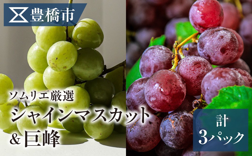 
                  《先行予約》豊橋市産 ぶどう 詰め合わせ 種なし巨峰2パック シャインマスカット1パック 大一青果 ぶどう 詰め合わせ ぶどう 詰め合わせ ぶどう 詰め合わせ ぶどう 詰め合わせ ぶどう 詰め合わせ ぶどう 詰め合わせ ぶどう 詰め合わせ 種なし巨峰 シャインマスカット 種なし巨峰 シャインマスカット ぶどう 2種 ぶどう 2種 ぶどう セット ぶどう セット ぶどう 詰め合わせ ぶどう 2種
                