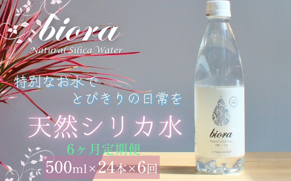 biora天然シリカ水 500ml×24本×6回 天然水 シリカ水 軟水 ミネラル 美容 健康 玖珠町 大分県 九州 自然 防災 備蓄 安全 人工添加物なし 72mg/リットル 含有 6ヶ月 美しい水 継続 吸収 効率 健康志向