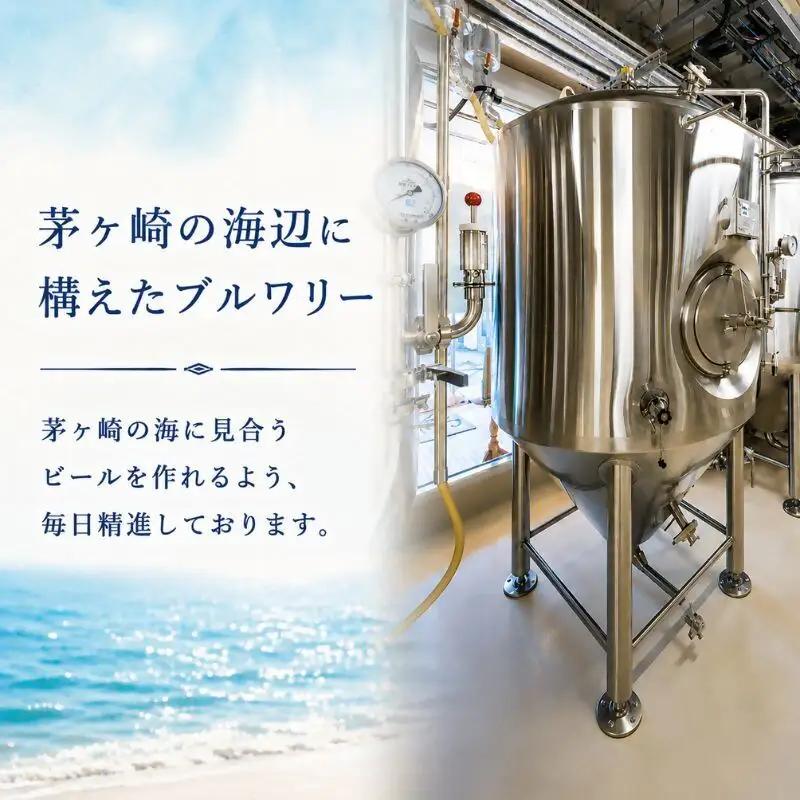 クラフトビール 茅ヶ崎ビール IPA 瓶入り クラフトビール【8本セット】