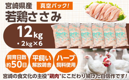 宮崎県産若鶏 ささみ(12kg)_24-G301_(都城市) 若鶏 鶏肉 真空 ささみ