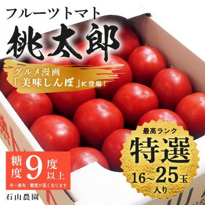 【ふるさと納税】【特選】トマト 美味しんぼに登場したトマト「桃太郎」16～25玉 ランク:特選　糖度9度以上【配送不可地域：離島・沖縄県】【1604229】