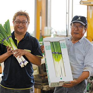 【8月～翌2月限定出荷】あきた白神のギフト 3種セット（白神ねぎ・白神ねぎラー油・白神ねぎしょうが生ふりかけ) 野菜 