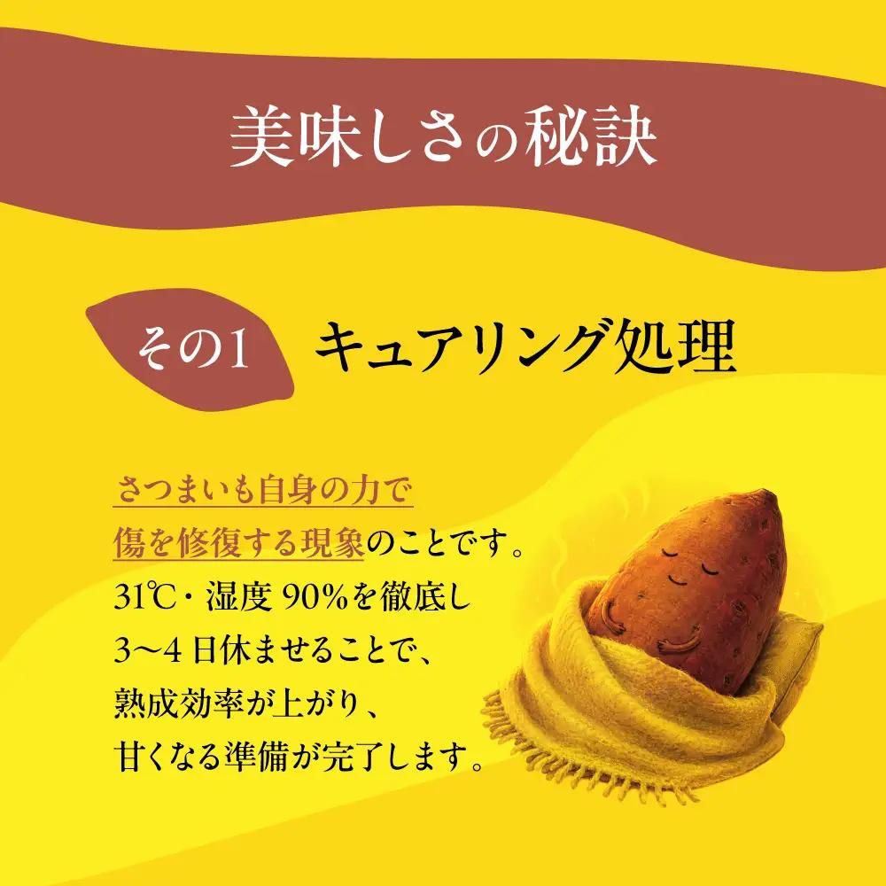 先行予約 訳あり さつまいも 8kg　さつまいも