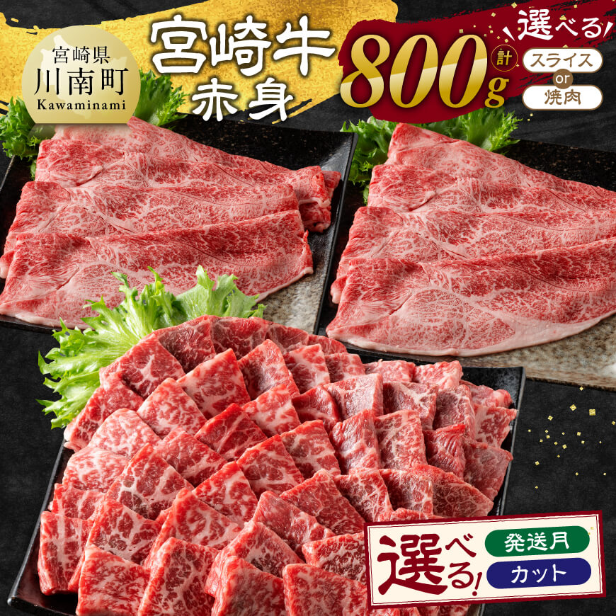 【ふるさと納税】※カットが選べる※宮崎牛赤身800g - 肉 牛肉 黒毛和牛 宮崎県産牛 九州産牛 国産牛 宮崎県産 九州産 国産 すき焼き しゃぶしゃぶ 赤身 ウデ モモ 送料無料 E11119 E11120