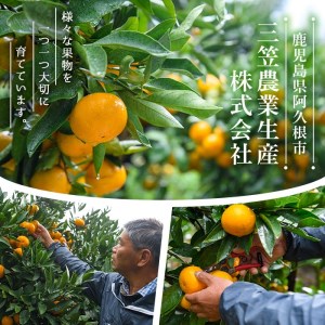 ＜先行予約受付中！2026年10月中旬以降順次発送予定＞ 訳あり！鹿児島県産手選果みかん(計10kg) 国産 柑橘 果物 フルーツ ご家庭用 サイズ 不揃い【三笠農業生産】akn051-11