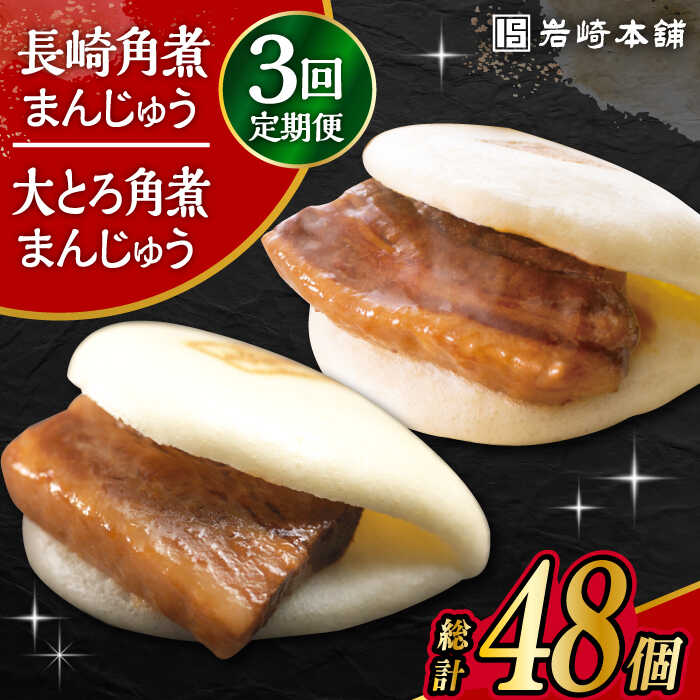 【ふるさと納税】【3回定期便】長崎 角煮まんじゅう 8個・ 大とろ 角煮まんじゅう 8個 計16個セット /角煮まん おやつ 長崎 角煮 饅頭 / 大村市 / 岩崎本舗[ACAH020]