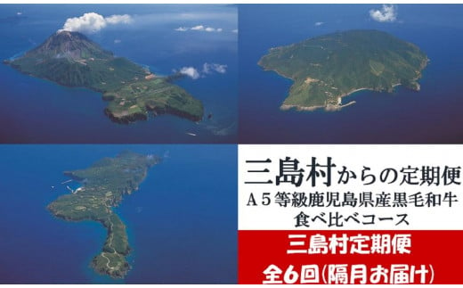 【特選定期便】隔月６回お届け　A5等級鹿児島県産黒毛和牛食べ比べ