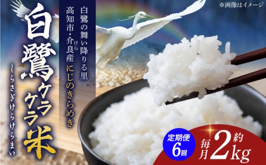 【6回定期便】 R8年度産 特別栽培米 農薬節減！ 白鷺ケラケラ米 にじのきらめき 各約2kg 合計約12kg / 高知 米 お米 精米 　【津ノ宮農園】[ATBV005]