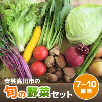 ふるさと納税 安芸高田市 安芸高田市の小さな農家お届けするふるさと旬野菜セット[No5895-0194]