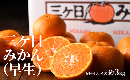 【2026年11月発送】 クラウンメロン＆次郎柿＆三ヶ日みかん詰合せ クラウンメロン1個約1.3Kg 白等級 次郎柿 5～6個 約1.5Kg 三ヶ日みかん（早生）約3Kg MまたはL 静岡 浜松市