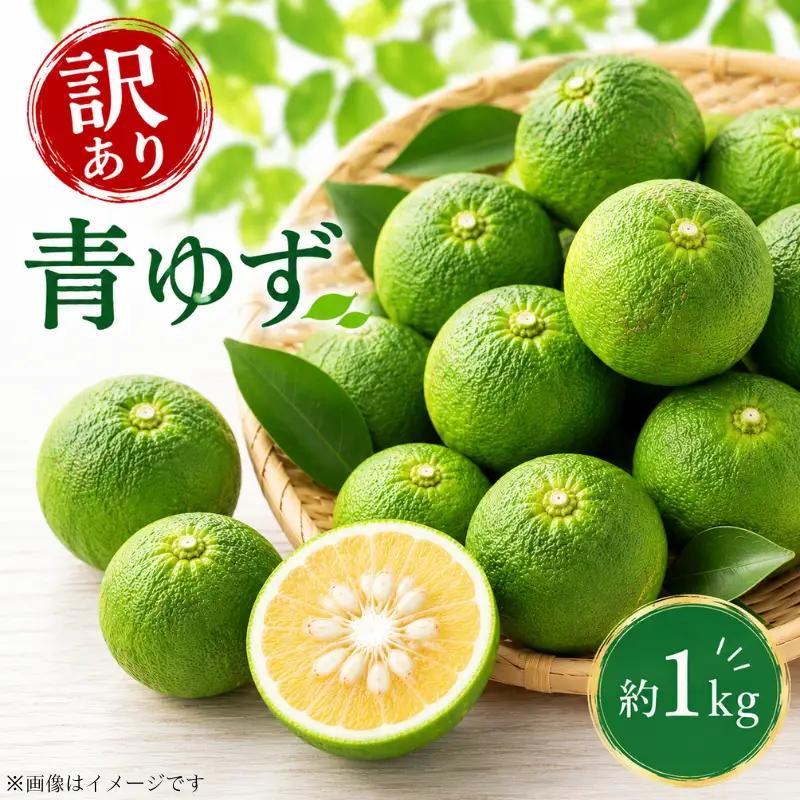 訳あり 青ゆず 1kg 【 柚子 】