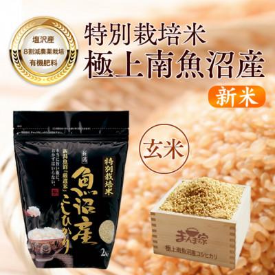 ふるさと納税 南魚沼市 【新米】【8年産】特別栽培米「南魚沼産コシヒカリ」(栽培期間中農薬節減・化学肥料不使用)玄米8kg